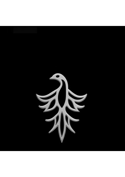 925 Ayar gümüş kolye anka kuşu SM4866