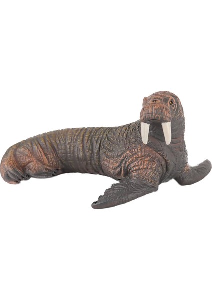 JQ-008B Deniz Hayvanları -Gepettoys