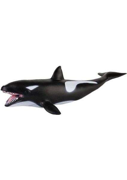 JQ-008B Deniz Hayvanları -Gepettoys
