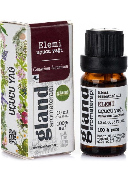Elemi Uçucu Yağı - Canarium Luzonicum 10ML