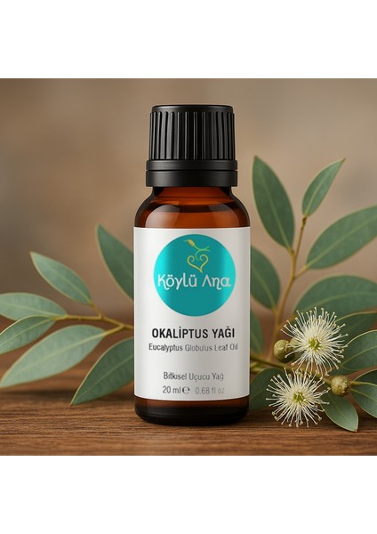 Okaliptus Yağı 20 ml - Saf Esansiyel Uçucu Yağ Hava Tazeleyici Nemlendirici Masaj Yağı