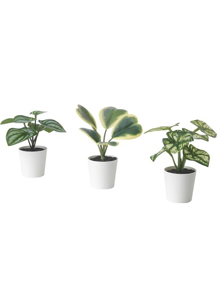 Fejka 3 Lü Bitki 30559647