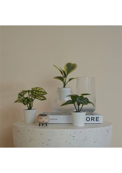 Fejka 3 Lü Bitki 30559647 fiyatları