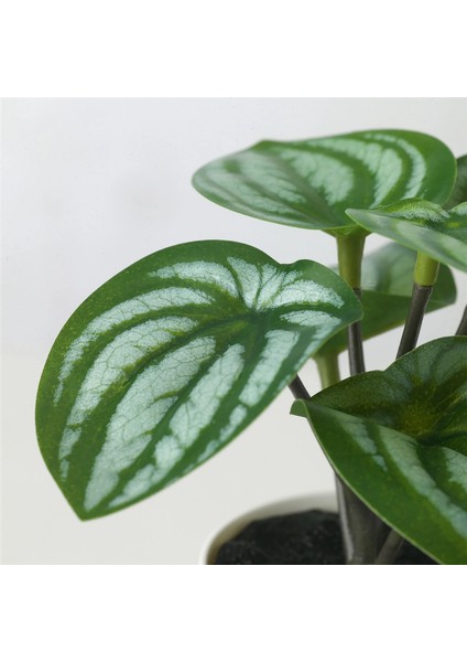 Fejka 3 Lü Bitki 30559647 modelleri