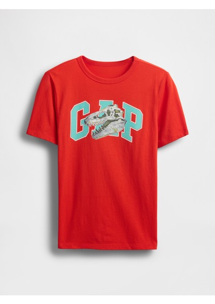 Erkek Çocuk Kırmızı Grafik T-Shirt