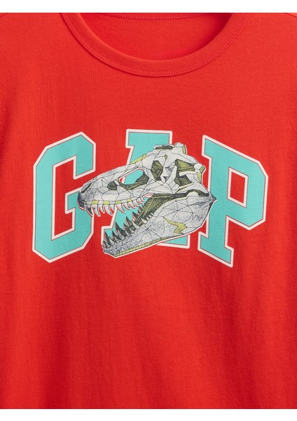 Erkek Çocuk Kırmızı Grafik T-Shirt fiyatları