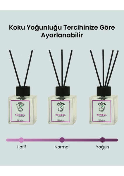 Sandal (Derinlik, Sakinlik ve Doğal Asalet) Çubuklu Kare Oda Kokusu 100ML