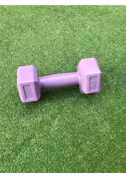 Leyayon 1 kg x 2 Adet Dambıl Vinyl Kaplı Dumbell Ağırlık - Mor Renk
