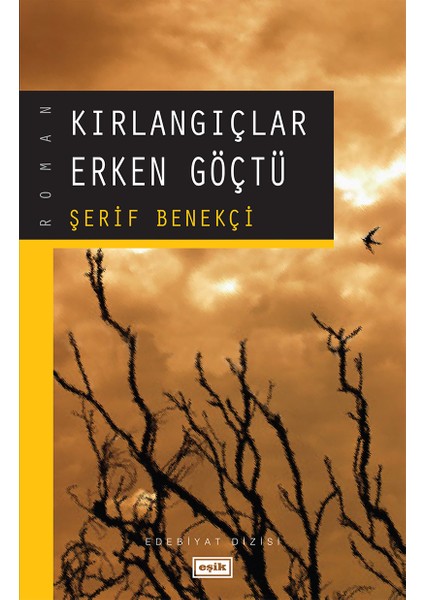 Kırlangıçlar Erken Göçtü | Şerif Benekçi