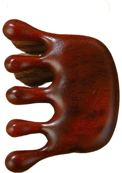 Çok Fonksiyonlu Masaj Kaburga Tarağı (Yurt Dışından)