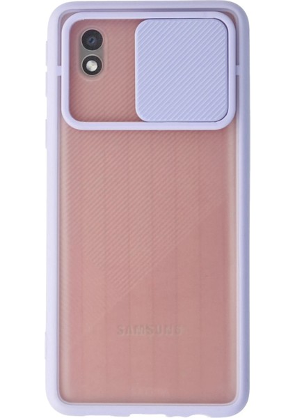 Samsung Galaxy A01 Core Kılıf Palm Buzlu Kamera Sürgülü Silikon - Lila Bstmy