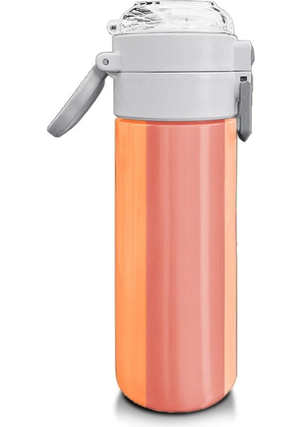 Kids Kız Desenli Pipetli ve Direkt Içim Çelik Termos 500 ml modelleri