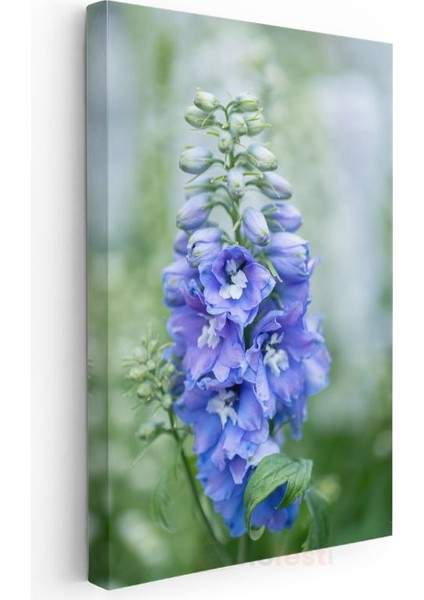 Mavi Hezaren Çiçeği - Doğal Bahçe Çiçeği Kanvas Tablo modelleri