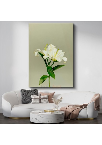 Beyaz Lilyum - Minimalist Çiçek Portresi Kanvas Tablo