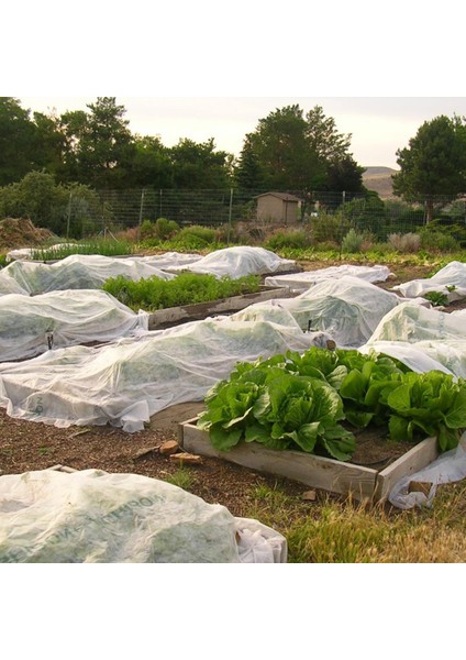 19 gr Agril Isı Don Perdesi, Zirai Don Kırağı Örtü modelleri