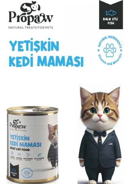 Kedi Balıklı Yaş Mama Konserve Jöleli Premium Parça Etli Yemek Besleyici Tahılsız Temiz Içerik