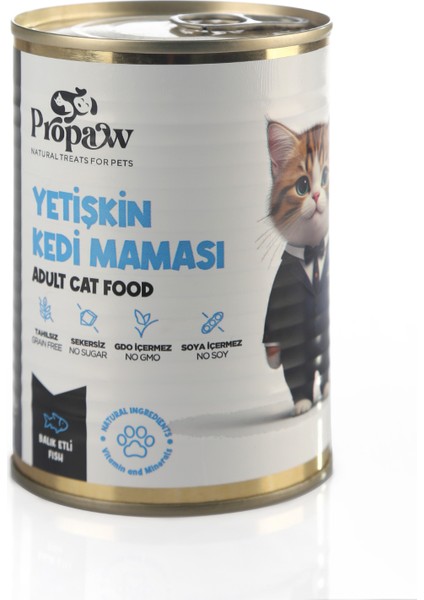 Kedi Balıklı Yaş Mama Konserve Jöleli Premium Parça Etli Yemek Besleyici Tahılsız Temiz Içerik
