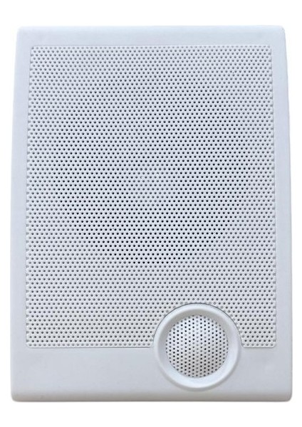WS-728L Duvar Tipi Hoparlör