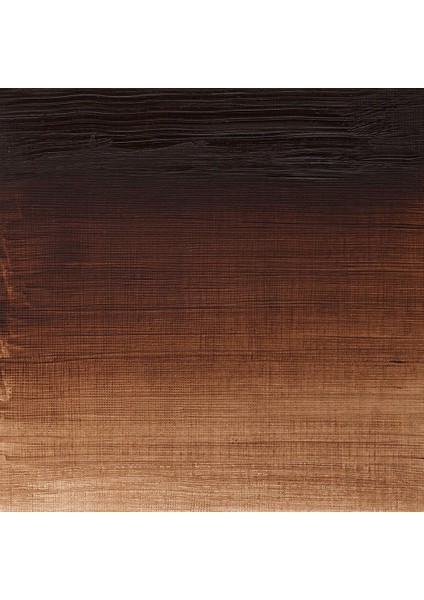 Winton Yağlı Boya 37ML Burnt Umber 076