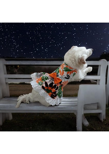 Kedi ve Köpek Elbisesi