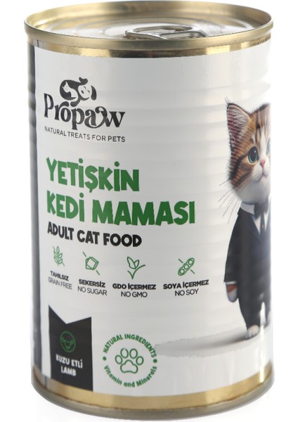 Kedi Yaş Mama Kuzulu Konserve Jöleli Premium Parça Etli Yemek Besleyici Tahılsız Temiz Içerik