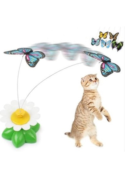 Buffer Kedi Oyuncağı, Hareketli Dönen Kelebek, Pille Çalışır
