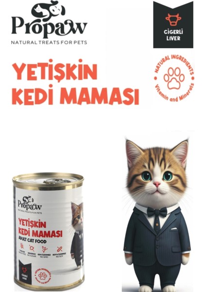 Kedi Yaş Mama Ciğerli Konserve Jöleli Premium Parça Etli Yemek Besleyici Tahılsız Temiz Içerik