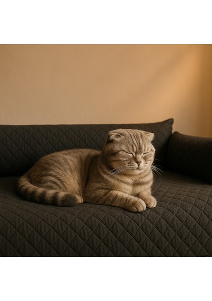 Evcil Hayvan Koltuk Örtüsü Kıl ve Tüy Tutmaz modelleri