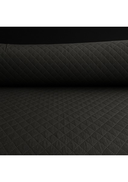 Evcil Hayvan Koltuk Örtüsü Kıl ve Tüy Tutmaz fırsatları