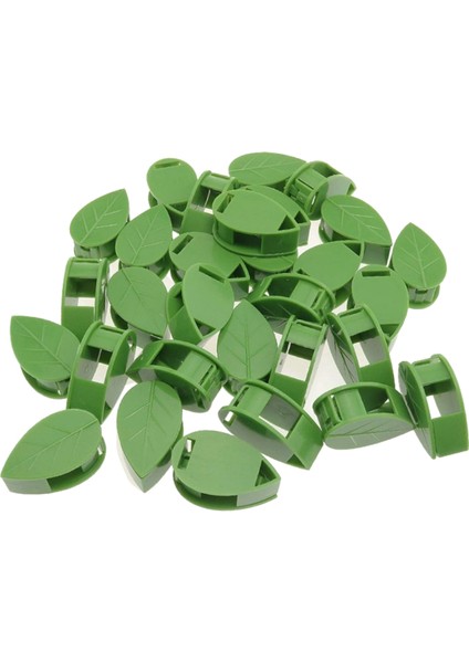 Bitki Tırmanma Duvarı Armatürleri Yaprak Tipi Armatürler Asma Kelepçeleri (Yurt Dışından)