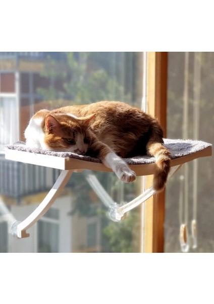 Yeni Model Cam ve Duvar Için Kedi Yatağı Vantuzlu