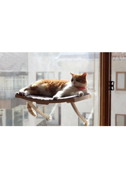 Yeni Model Cam ve Duvar Için Kedi Yatağı Vantuzlu
