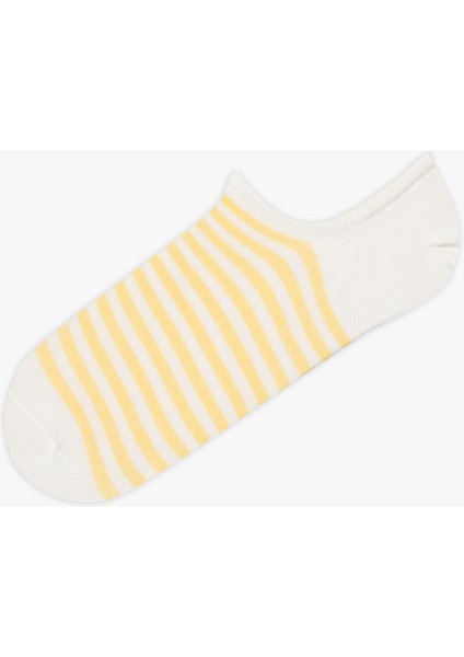 3 Çift Pamuklu Renkli Çizgili Sneaker Çorap