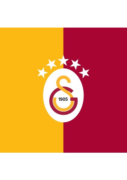 Galatasaray 25. Şampiyonluğa Özel Levha 25* 35* fiyatları