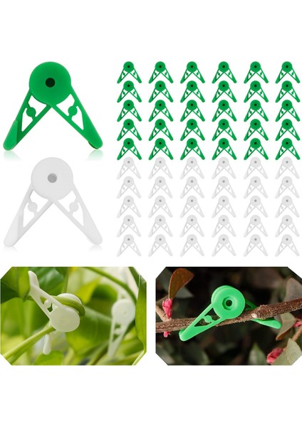 Düşük Stresli Eğitim Yeşili Için 60 Adet 360 Derece Ayarlanabilir Bitki Klipsi (Yurt Dışından) fiyatları