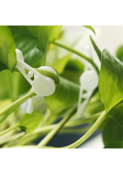 Düşük Stresli Eğitim Yeşili Için 60 Adet 360 Derece Ayarlanabilir Bitki Klipsi (Yurt Dışından) indirimleri