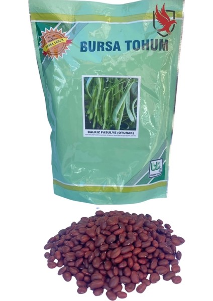 Balkız Fasulye Tohumu (Oturak) 1 kg