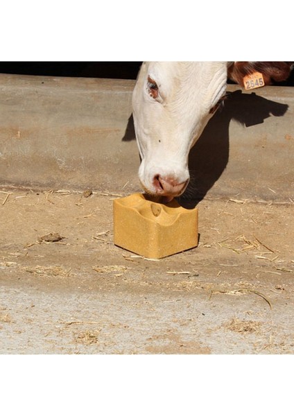 Expert Block 3 kg Besi Yalama Taşı