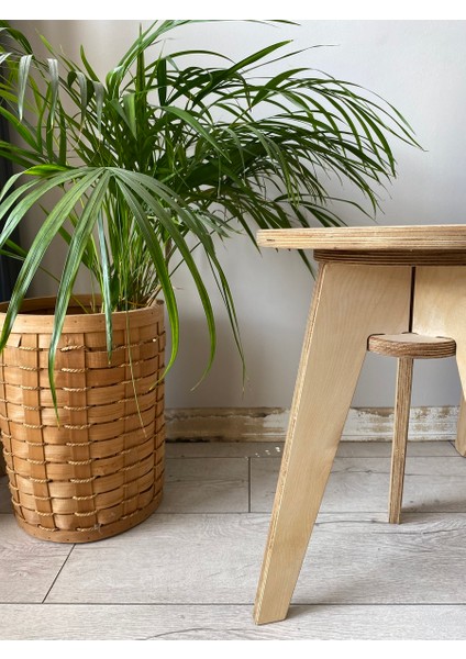 Helle Yuvarlak Tekli Huş Ağacı Plywood Sehpa – Doğal Ahşap, Modern Tasarım Yan Sehpa