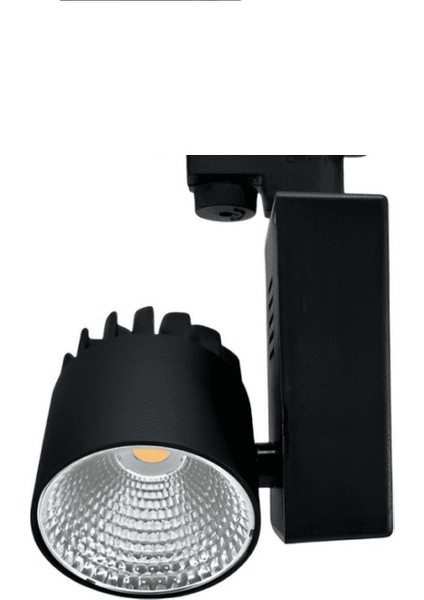 Ray Spot 40 Watt Siyah Kasa