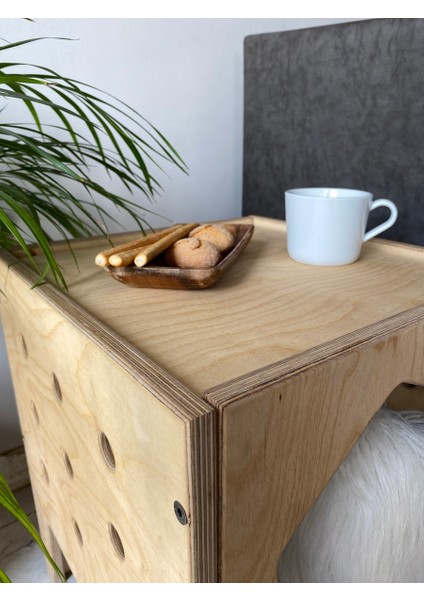 Vetle - Plywood Modern ve Fonksiyonel Pet Evi - Yan Sehpa