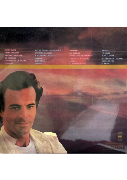 Julio Iglesias – 24 Exitos De Oro 2xlp 1979 Baskı