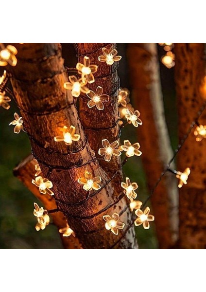 Solar 5m 50 LED Papatya Gün Işığı 8 Fonksiyonlu