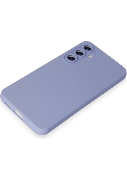 Samsung Galaxy S24 Plus Kılıf Nano Içi Kadife Silikon - Lila Bstmy