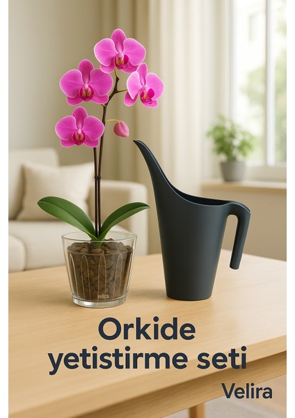 Orkide Yetiştirme Seti