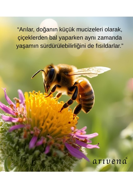 Yayla Çiçek Balı %100 Saf ve Doğal