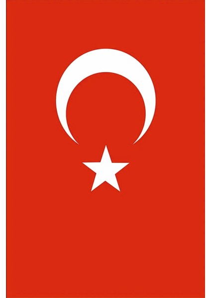Türk Bayrağı ve Atatürk Posteri 50X75