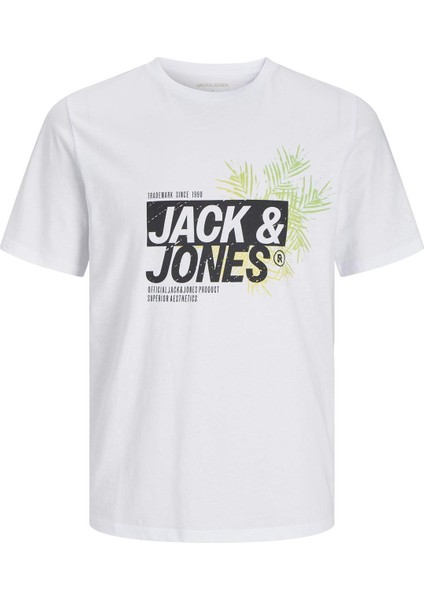 Jack & Jones Erkek Basic Tişört – %100 Pamuk, Jjjaxon Modeli