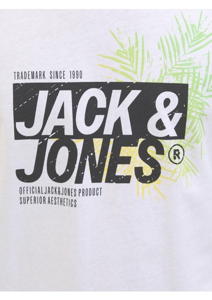 Jack & Jones Erkek Basic Tişört – %100 Pamuk, Jjjaxon Modeli