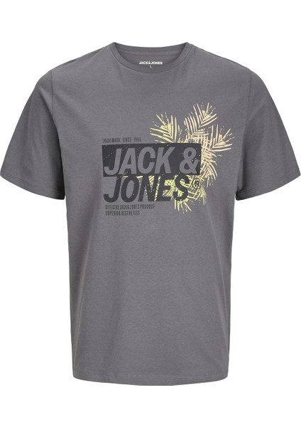 Jack & Jones Erkek Basic Tişört – %100 Pamuk, Jjjaxon Modeli